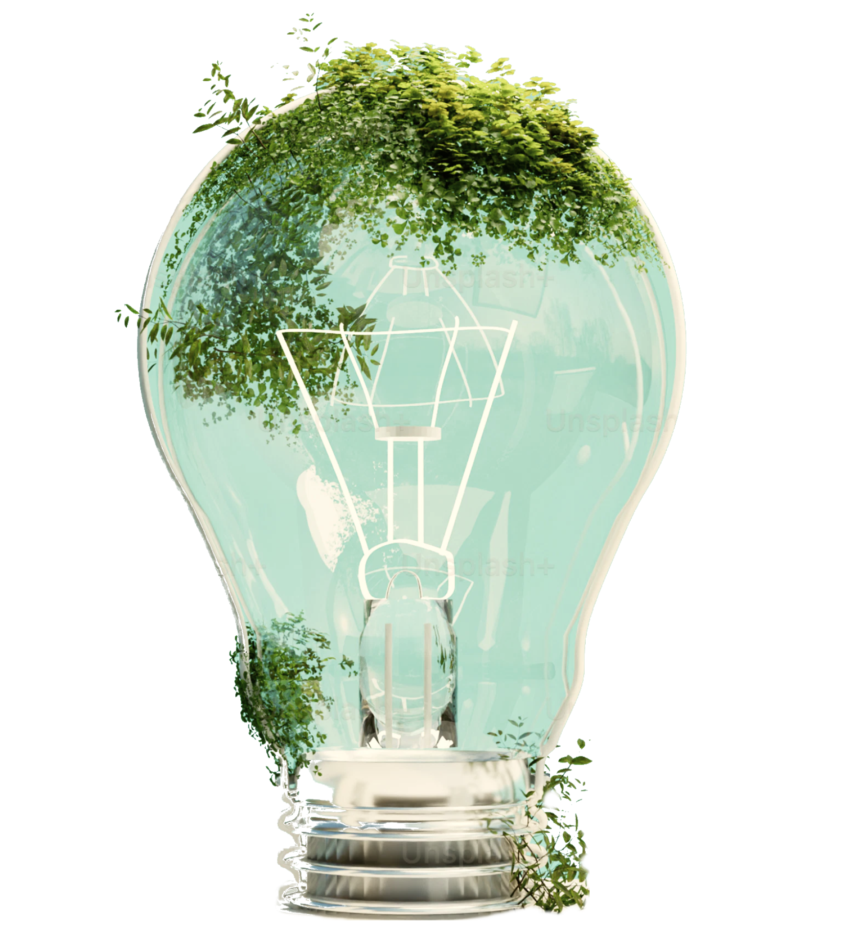 about-greenforet-img